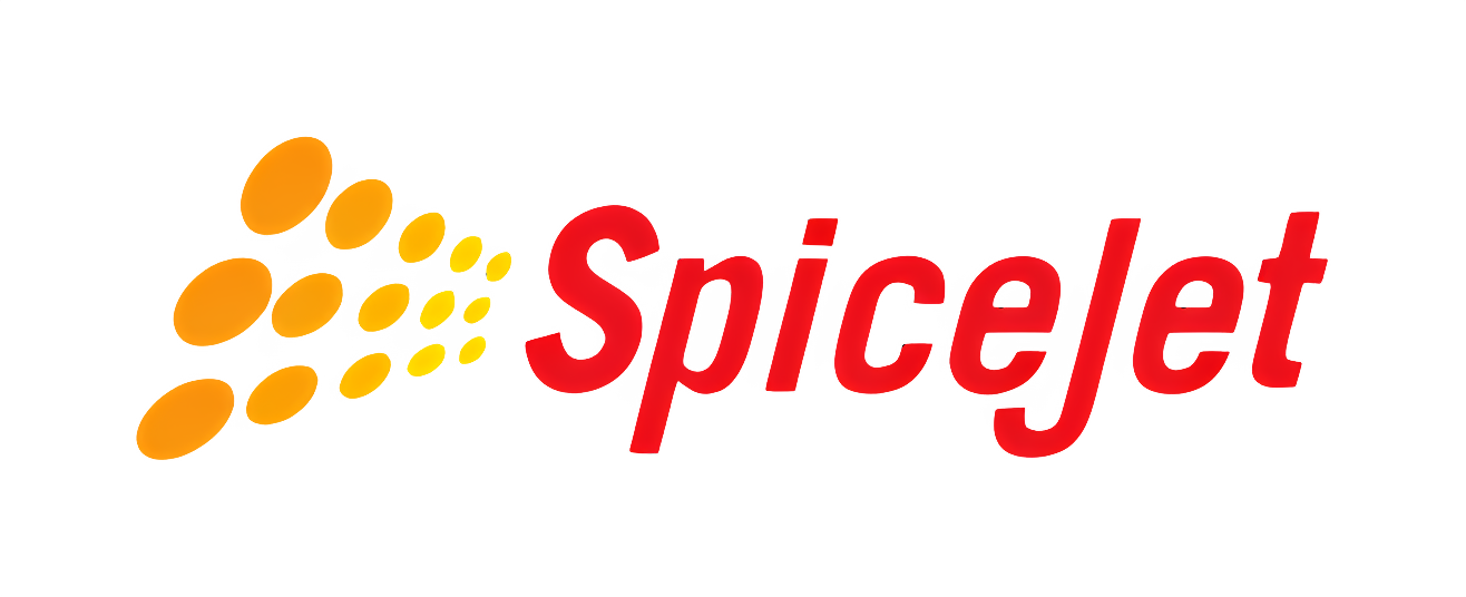 spicejets-DYWfNHMl